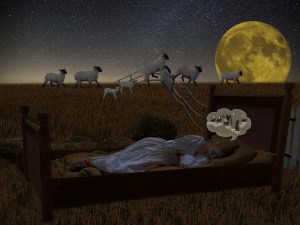 good-nightdream